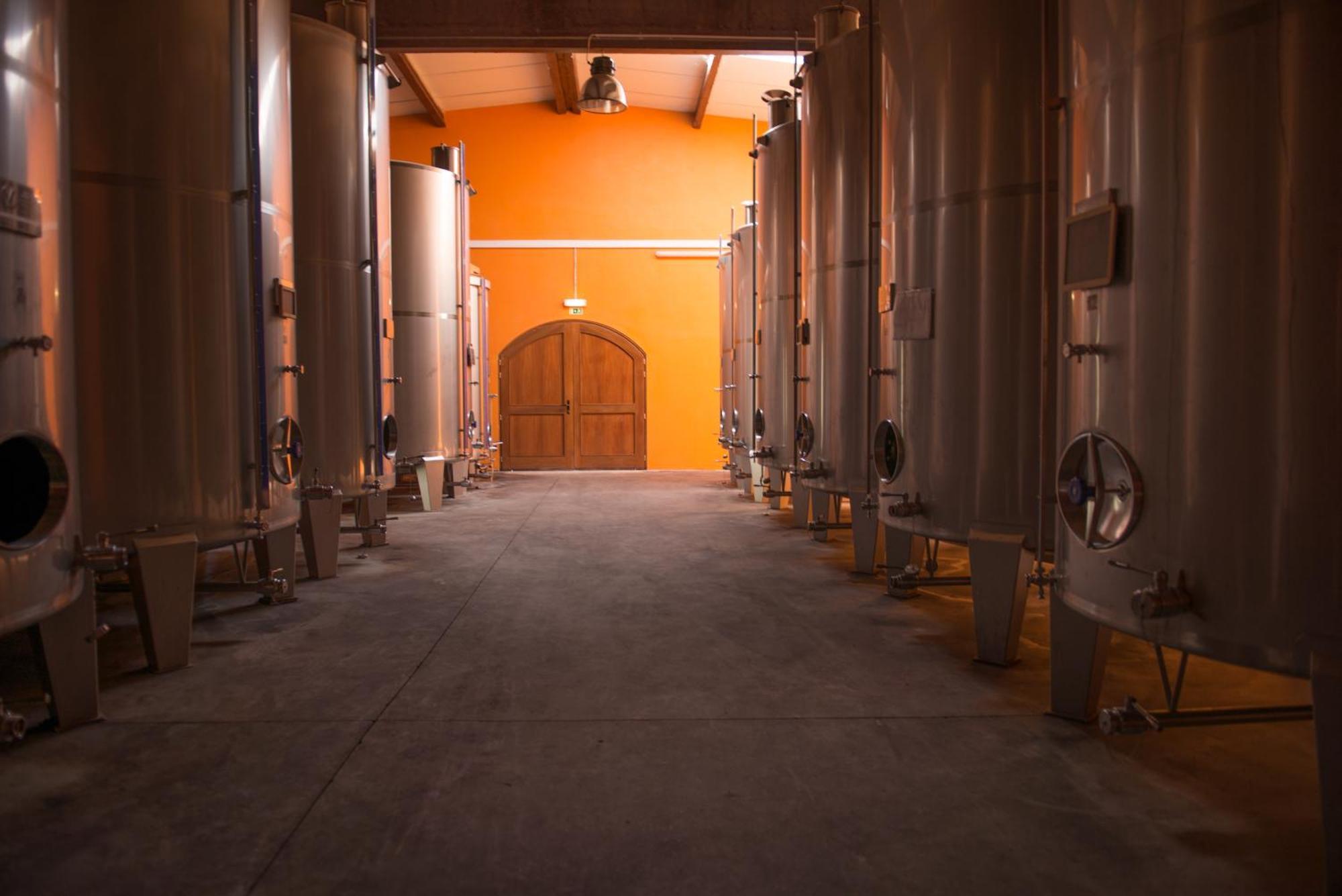 Willa Tranca Da Barriga - Casa Do Vinho By Quinta De Sao Tiago Covilhã Zewnętrze zdjęcie