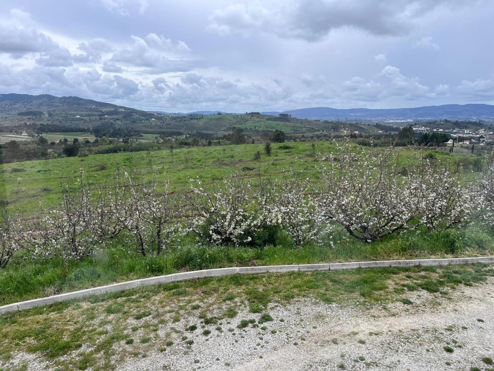Willa Tranca Da Barriga - Casa Do Vinho By Quinta De Sao Tiago Covilhã Zewnętrze zdjęcie