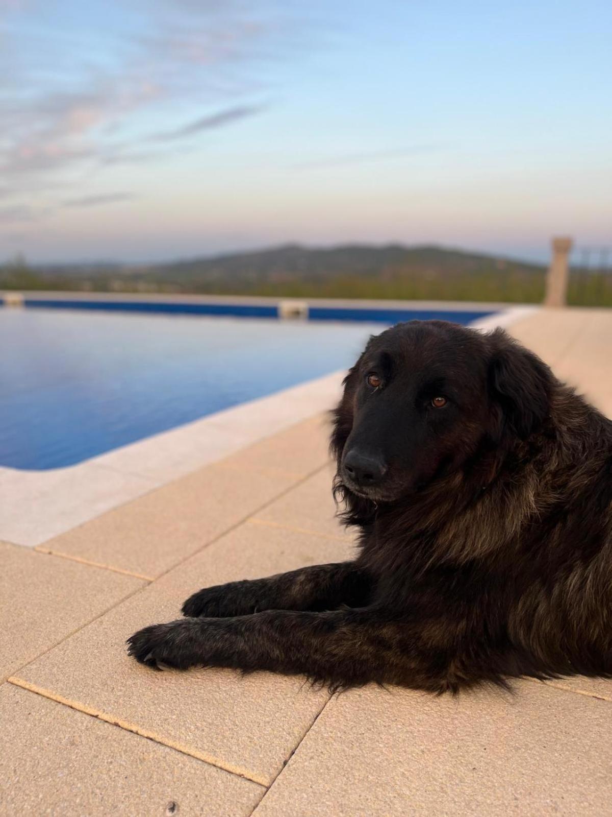 Willa Tranca Da Barriga - Casa Do Vinho By Quinta De Sao Tiago Covilhã Zewnętrze zdjęcie